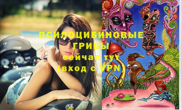 гидропоника Куйбышев