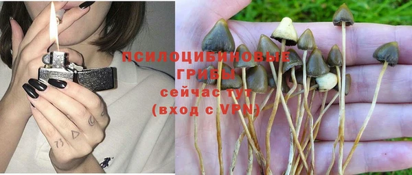 mdma Кукмор